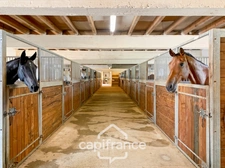 Château and equestrian facilities (stud farm) for sale in the heart of the Bourbonnais countryside - Caretaker's house, clubhouse, riders' house, stalls, stables - 40 hectares of land