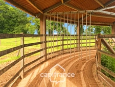 Château and equestrian facilities (stud farm) for sale in the heart of the Bourbonnais countryside - Caretaker's house, clubhouse, riders' house, stalls, stables - 40 hectares of land