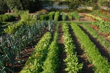 Château, installation équestre (haras) à vendre au coeur du bocage bourbonnais - Maison de gardien, club house, maison des cavaliers, boxes, écuries - Terrain de 40 hectares