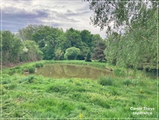 Dpt Creuse (23), for sale in Colondannes five wooden frame houses - Land 1.10 ha