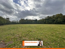 Propriete de charme sur 4,7 hectares – à seulement 15 min de La Flèche et 30 min du Mans - LA FONTAINE SAINT MARTIN (72)