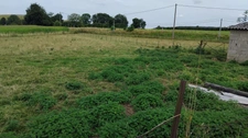 Maison à rénover sur 3200m2 de terrain 