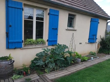 Maison individuelle dans rue calme Proche de FORGES LES EAUX (76)