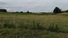 Maison à rénover sur 3200m2 de terrain 