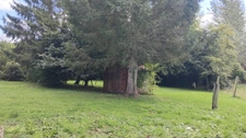 Maison à rénover sur 5000 m2 de terrain 