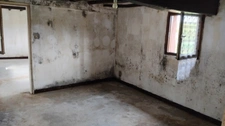 Maison à rénover sur 3200m2 de terrain 