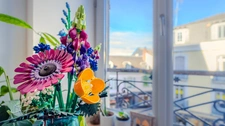 Appartement à vendre 3 pièces TARBES (65) Duplex Terrasse