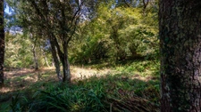 Maison à vendre 2 pièces AUBERTIN (64) ; Grange et 1,8Ha de terrain