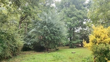 House for sale, 7 rooms, FOUCHEROLLES (45) - 10 min from Courtenay - access to the A6 motorway, Paris