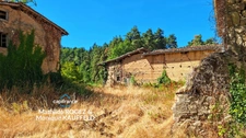 Domaine de caractère sur 45 hectares avec étang - Courpière