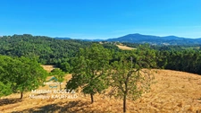 Domaine de caractère sur 45 hectares avec étang - Courpière