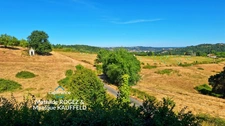 Domaine de caractère sur 45 hectares avec étang - Courpière