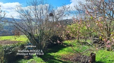 Maison de famille - 8 pièces - 180m2 - Domaize