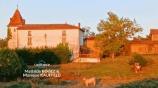 Domaine de caractère sur 45 hectares avec étang - Courpière