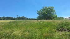 Maison à rénover avec grange en pierre, source et 7 000 m² de terrain - Saint Gervais Sous Meymont (63)