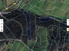 A vendre BOIS 16281 m2  SALIES DE BEARN (64)