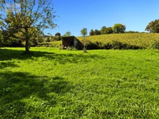 Maison de caractère 284 m² - 6 suites - Orthez