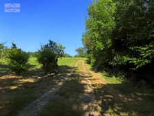 Maison à vendre 4 pièces BUGNEIN (64)