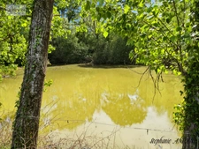 PROPRIÉTÉ DE CARACTÈRE – 6,7 HECTARES – DÉPENDANCES – OSSAGES