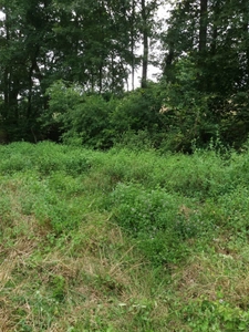 ORTHEZ – Terrains naturels et agricoles de 15 070 m² NON CONSTRUCTIBLES