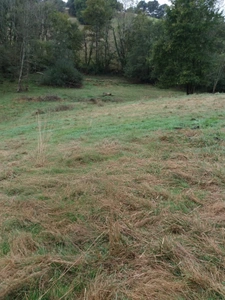 ORTHEZ – Terrains naturels et agricoles de 15 070 m² NON CONSTRUCTIBLES