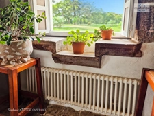 House for sale, 5 rooms, SAUVETERRE DE BEARN (64)