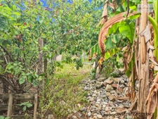 PUYOÔ – MAISON DE CARACTÈRE DE 188,83 M², 5 CHAMBRES, GRANGE D’ENVIRON 300 M² ET TERRAIN DE 1 198 M² – 245 000 €