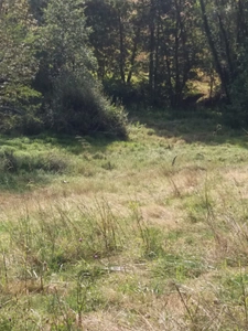 ORTHEZ – Terrains naturels et agricoles de 15 070 m² NON CONSTRUCTIBLES