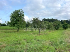 Terrain non constructible 12 000 m² avec verger – Nivillac (56130)