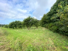 Terrain non constructible 12 000 m² avec verger – Nivillac (56130)