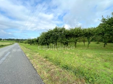Terrain non constructible 12 000 m² avec verger – Nivillac (56130)