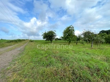 Terrain non constructible 12 000 m² avec verger – Nivillac (56130)
