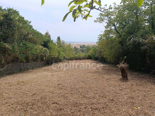 Terrain à vendre de 1 530,00 m² BELLECHAUME (89)