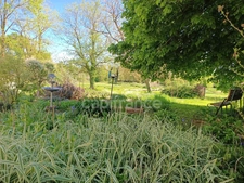 Maison à vendre 7 pièces VILLECHETIVE (89)