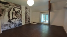 Maison à vendre 8 pièces VILLECHETIVE (89)-1h30 Paris
