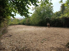 Terrain à vendre de 1 530,00 m² BELLECHAUME (89)