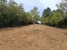 Terrain à vendre de 1 530,00 m² BELLECHAUME (89)