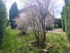 Maison à vendre 4 pièces  (89)