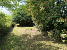Terrain à vendre  BELLECHAUME (89)