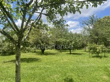 Dpt Yonne (89), à vendre ARCES DILO maison 4 chambres sur 2500 m² 