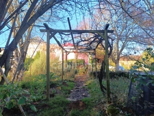 Maison à vendre 3 pièces  (89)