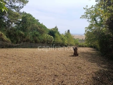 Terrain à vendre de 1 530,00 m² BELLECHAUME (89)
