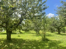 Dpt Yonne (89), à vendre ARCES DILO maison 4 chambres sur 2500 m² 