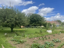 Dpt Yonne (89), à vendre ARCES DILO maison 4 chambres sur 2500 m² 