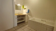 Maison à vendre 8 pièces VILLECHETIVE (89)-1h30 Paris