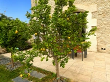 Exceptional bourgeois house of 325 m² completely renovated with swimming pool, outbuilding and large enclosed grounds