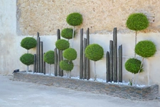 Maison bourgeoise D'exception de 325 m² entièrement rénovée avec piscine, dépendance et grand terrain clos