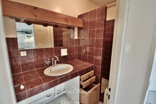 Haute-Garonne (31) department, for sale in Saint-Gaudens: Single-storey house 215m2 + Apartment, Garage, 850m2 plot of land  