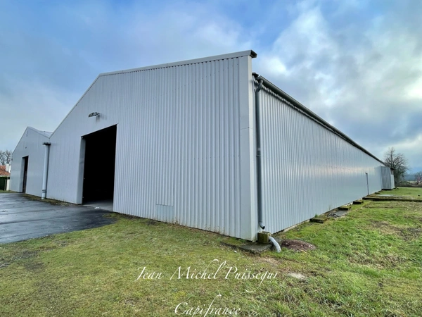 Entrepôt/Bureaux 1000m2 à louer à VILLENEUVE DE RIVIERE (31), Terrain de 7900m2