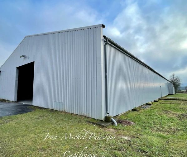 Entrepôt/Bureaux 1000m2 à louer à VILLENEUVE DE RIVIERE (31), Terrain de 7900m2